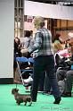 Crufts2011_2 1050